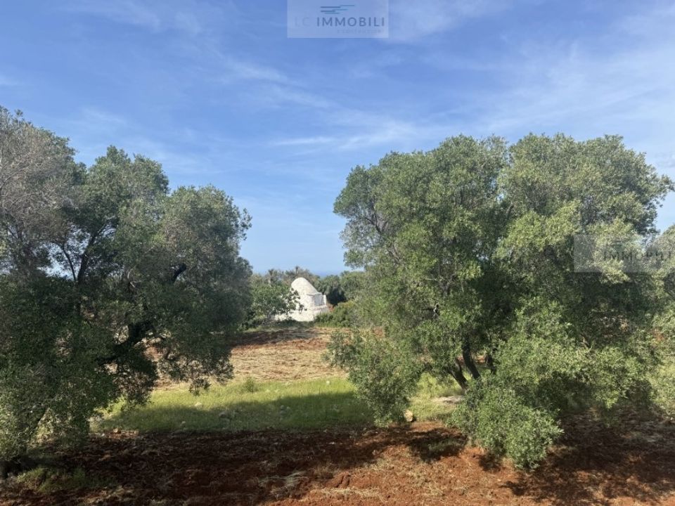 Tomt i Carovigno, Brindisi - bilde 4